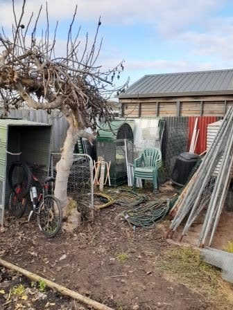 Behind the back shed – Bell Post Hill